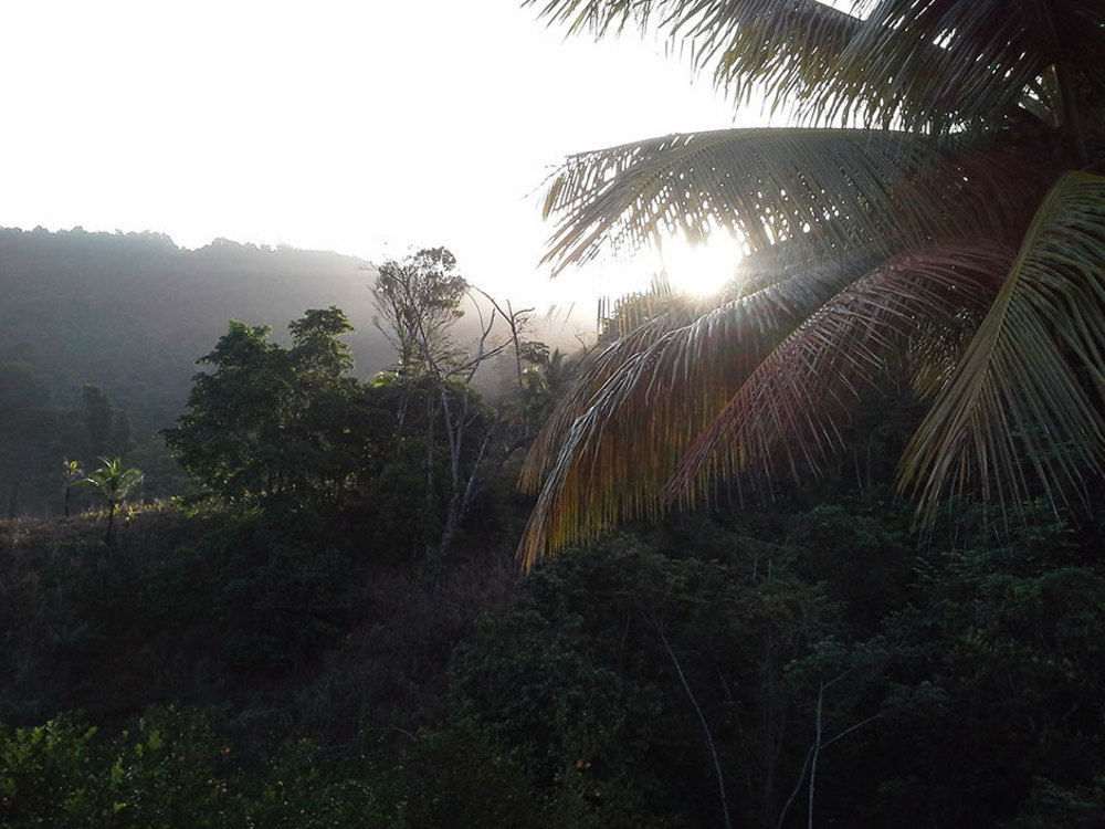 Las Cuevas Beach Lodge ภายนอก รูปภาพ