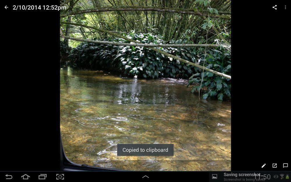 Las Cuevas Beach Lodge ภายนอก รูปภาพ